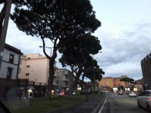 Viterbo, pini e destini, Allegrini-Frontini, scoppia il confronto sul web gazzettino dei politici ultrà stra-local