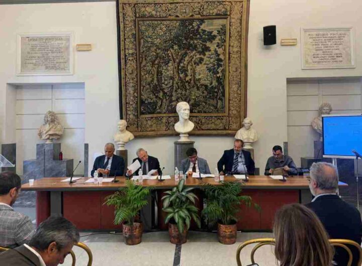 Conferenza Roma, Salute