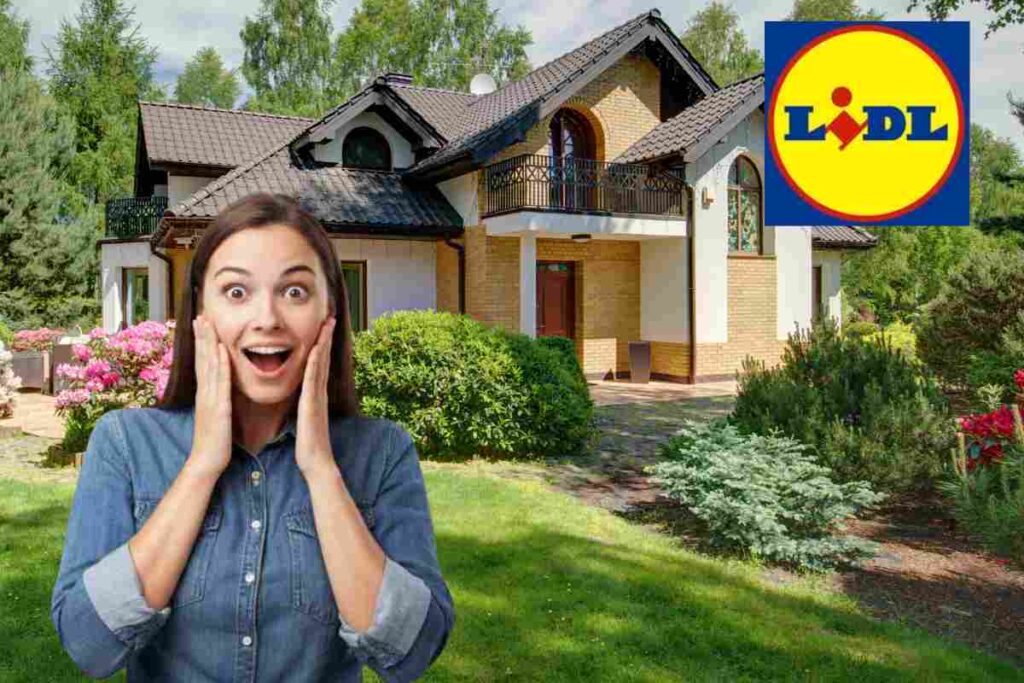 Lidl