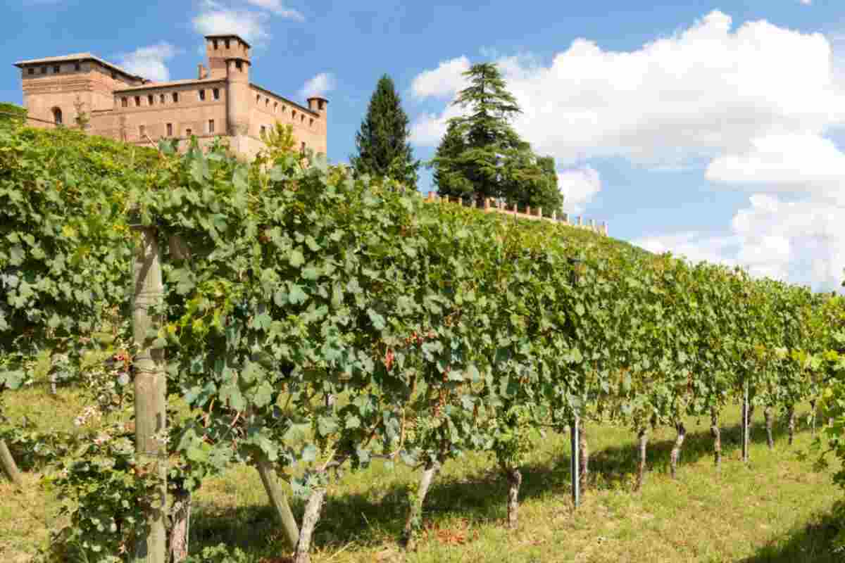 Grinzane Cavour