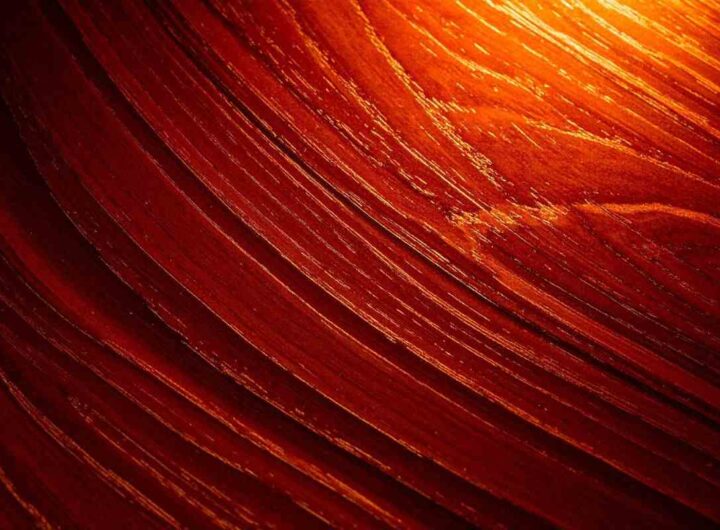 l'olio di tung, il trucco dei falegnami